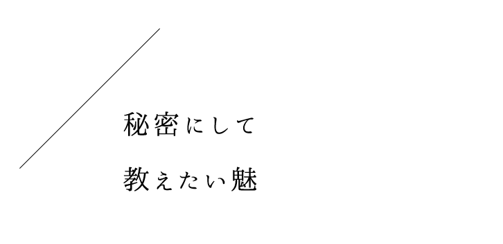 魅力がぎゅっと。